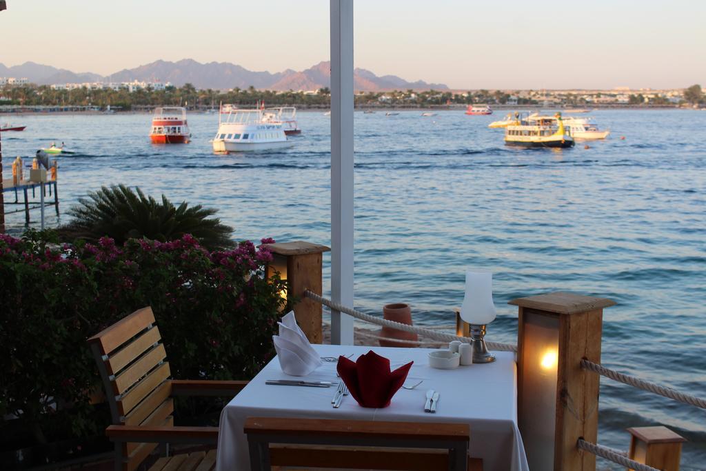 Lido Sharm Hotel Naama Bay Eksteriør billede
